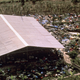 Jonestown Mass Suicide 1978
